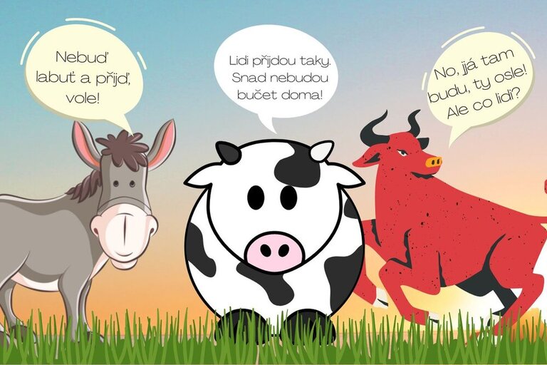 Aby nás nezahanbili osel, vůl a kráva.